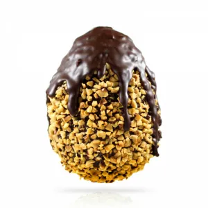 Uovo di Pasqua Gourmet Fondente Nocciole e Lamponi 220g Shockino