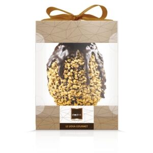 Confezione Uovo di Pasqua Gourmet Fondente e Nocciole Shockino